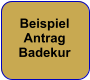 Beispiel Antrag Badekur