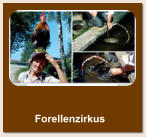 Forellenzirkus