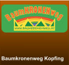 Baumkronenweg Kopfing