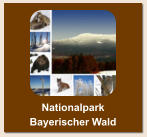 Nationalpark Bayerischer Wald